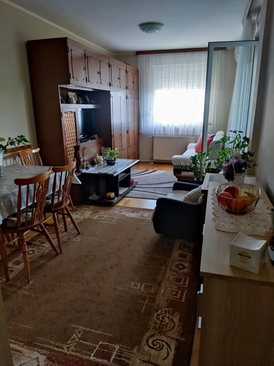 NOVI SAD. BUL. PATRIJARHA PAVLA.DVOSOBAN STAN.Stan ima zatvorenu terasu sa ostavom. Stan je u prepodnevnim casovima dost