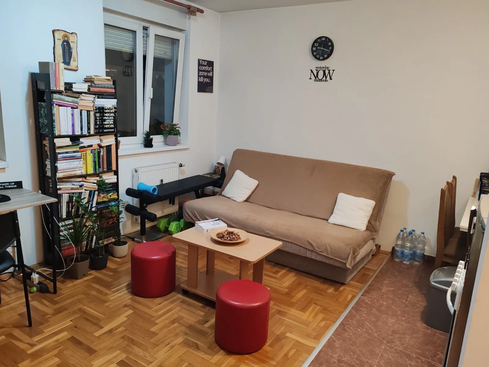 NOVI SAD. BULEVAR PATRIJARHA PAVLA.GARSONJERA(Svet nekretnine, Novi Sad, Reg. br. 405)