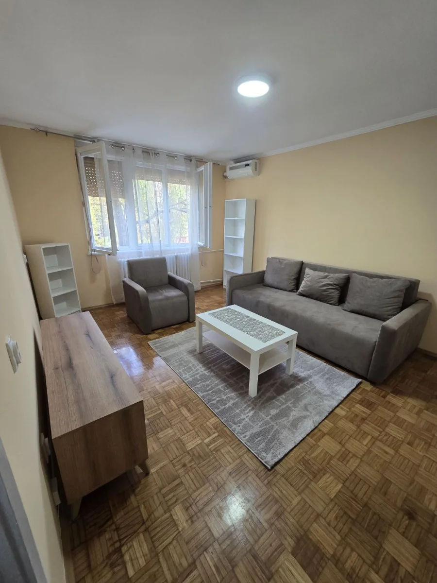 NOVI SAD.DETELINARA.JEDNOSOBAN STAN STAN.    (Svet nekretnine, Novi Sad, Reg. br. 405)