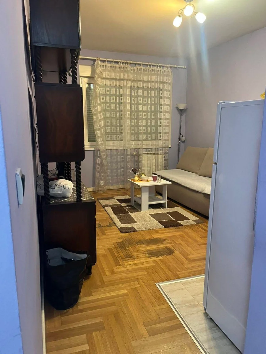 <p>Novi Sad, centar, Vase Pelagića, garsonjera 26m2 u visokom prizemlju, useljivo odmah,klima, veš mašina, kuhinja, T