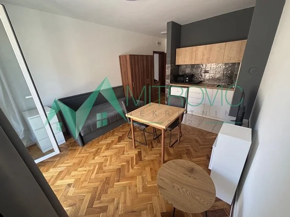 Centar kod Futoške Pijace, renovirana garsonjera 21 m2 