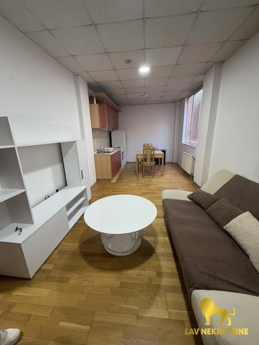 Izdaje se jednoiposoban stan u Augusta Cesarca, odmah useljiv. Pogodan za studente. Racuni zimi oko 100eura, leti oko 70