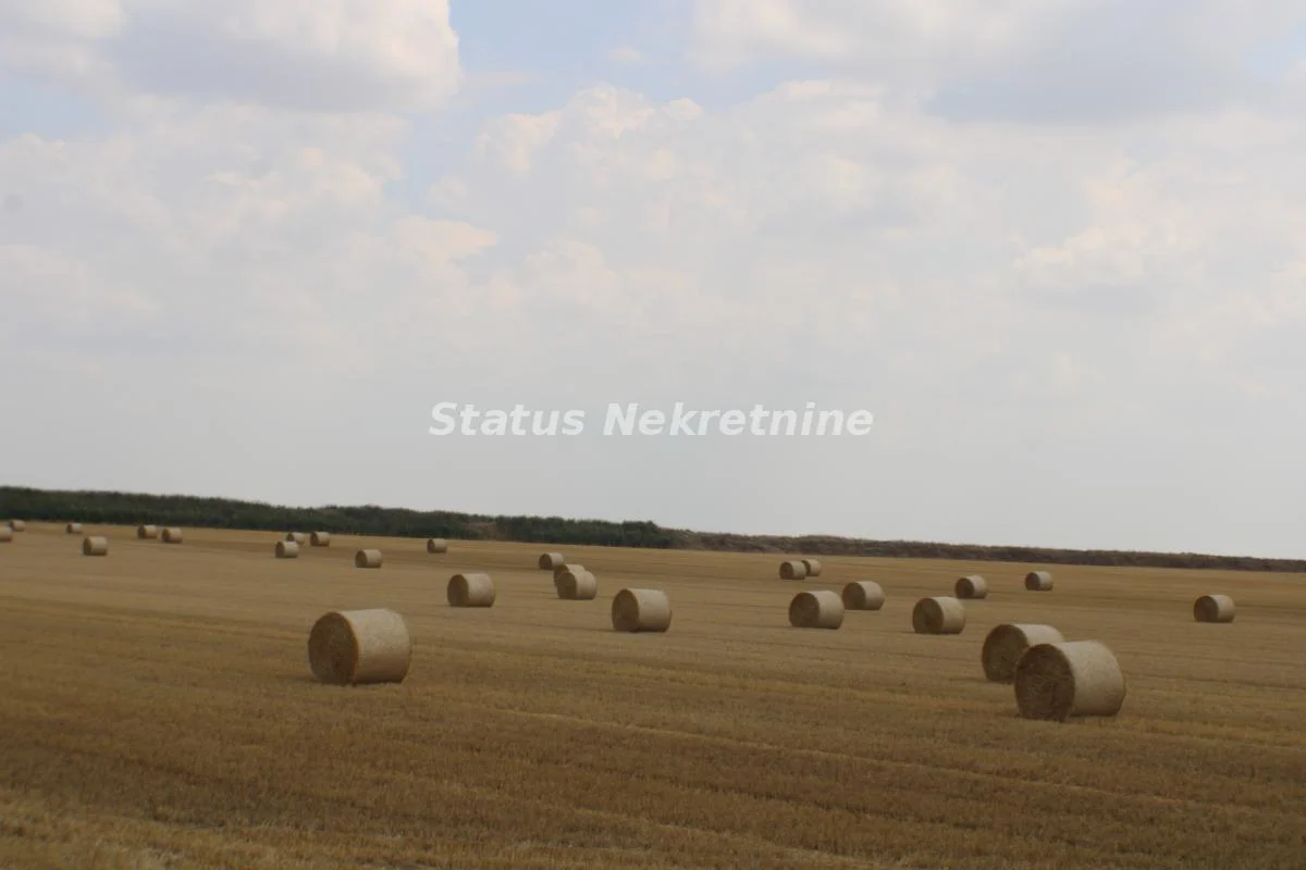 Poljoprivredno zemljište u Savinom selu.