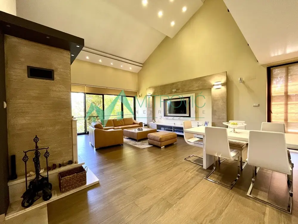 Fantastic house on Fruška Gora, 250m2 on a beautiful 26a plot!