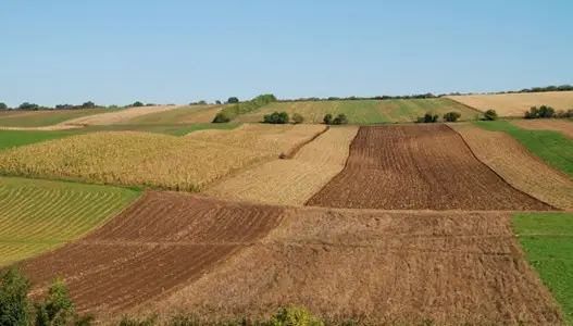 <p>For sale, arable land&nbsp; class in the construction area. The field is currently under lease, is properly cultivated, and has exce