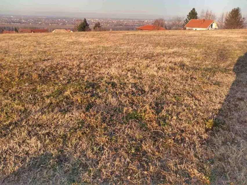 Novi Sad, Rakovac-SALAKSIJE, EXCELLENT CONSTRUCTION PLOT SUITABLE FOR BUILDING A HOSPITAL OR A NURSING HOME. (Bomil real estate)
