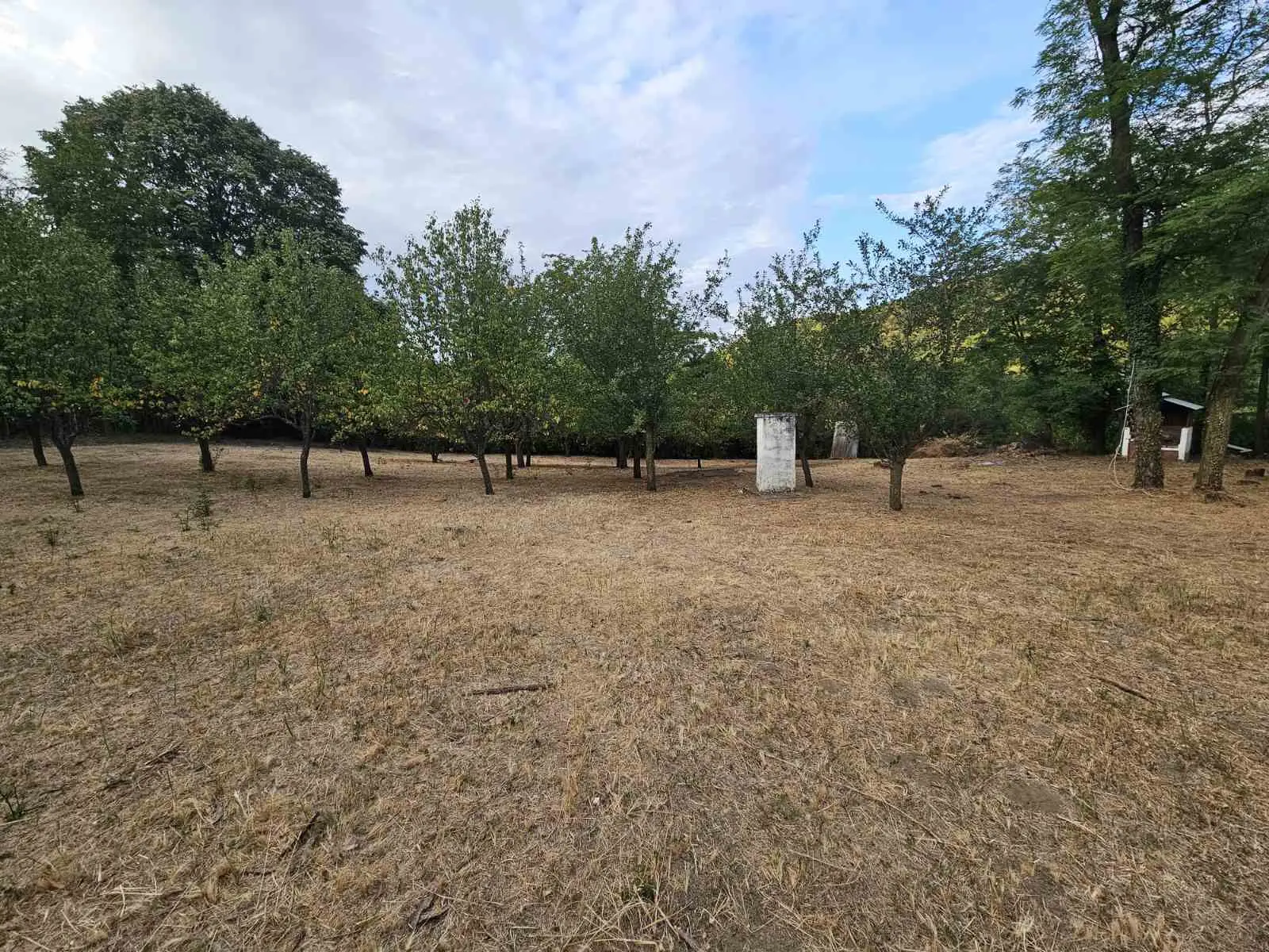 Rakovac, Stošin Do. BUILDING PLOT FOR SALE - 2503m2! Wide, flat plot in the construction zone, registered 1/1. The plot is near Rakovac Monastery, and has electricity and water connections.
PRICE SUBJECT TO AGREEMENT.
For more information