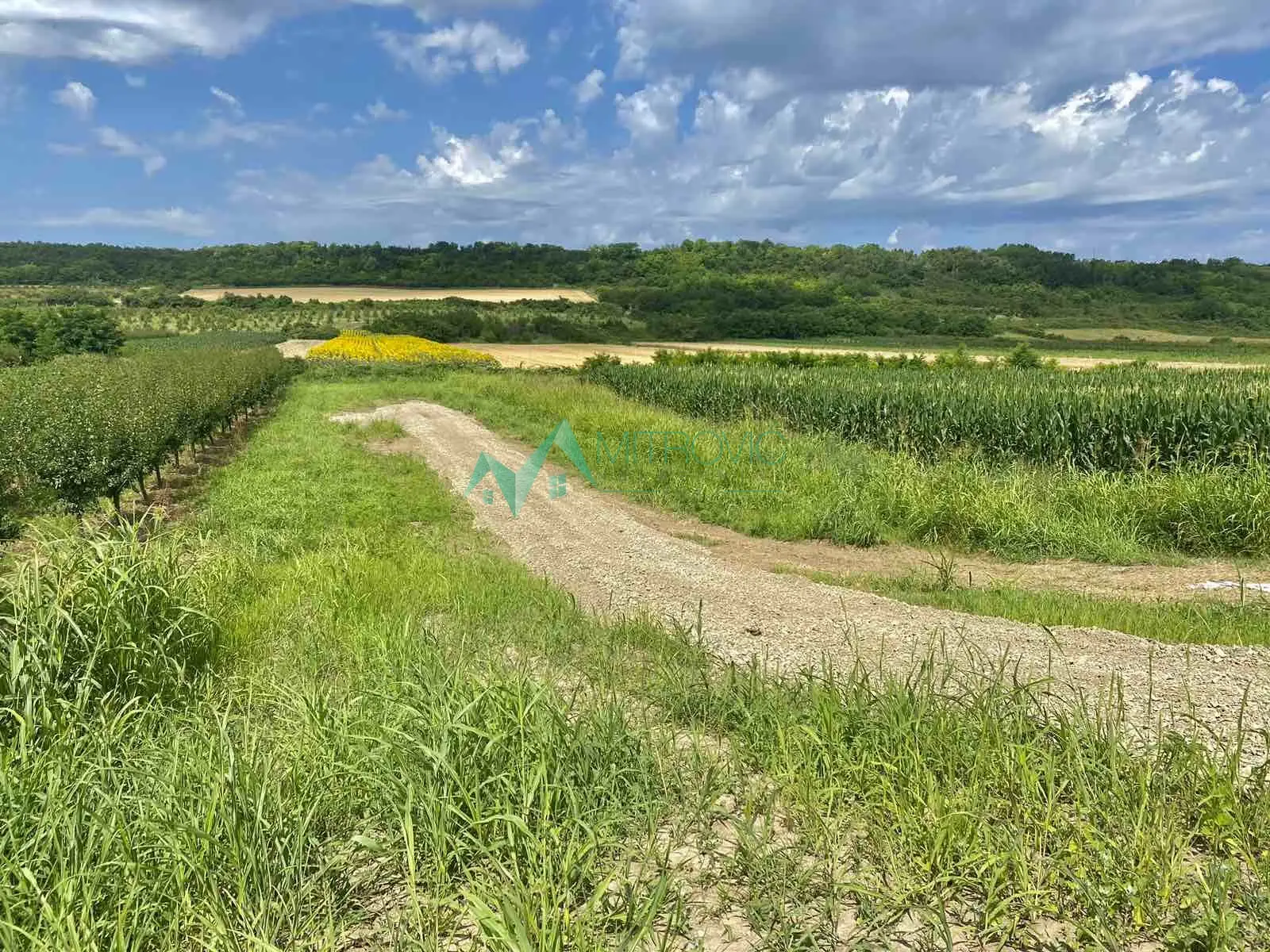 Land for sale, area 1020m2.