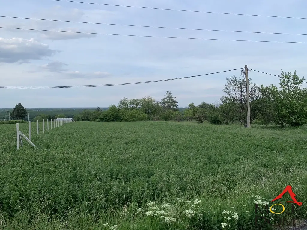 Plot in Petrovaradin, Širine

We are selling an excellent flat plot of 1960m2 in the Širine area.
Extremely quiet neighborhood near the city (15 minutes from the center) and bus station (10 minutes on foot). The road to the plot is asphalted, all utility lines run in front (electricity,