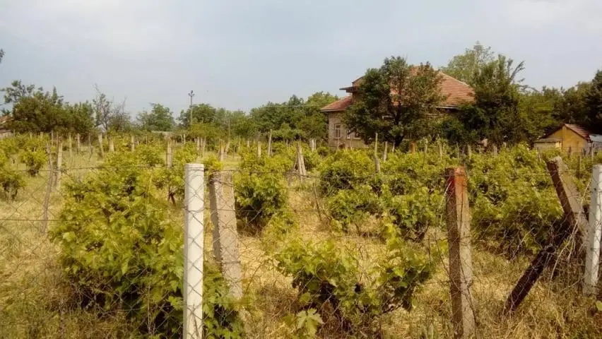 Novi Sad, Petrovaradin, Registered 2 plots as urban construction land. Individual construction allowed, ground floor plus floor.