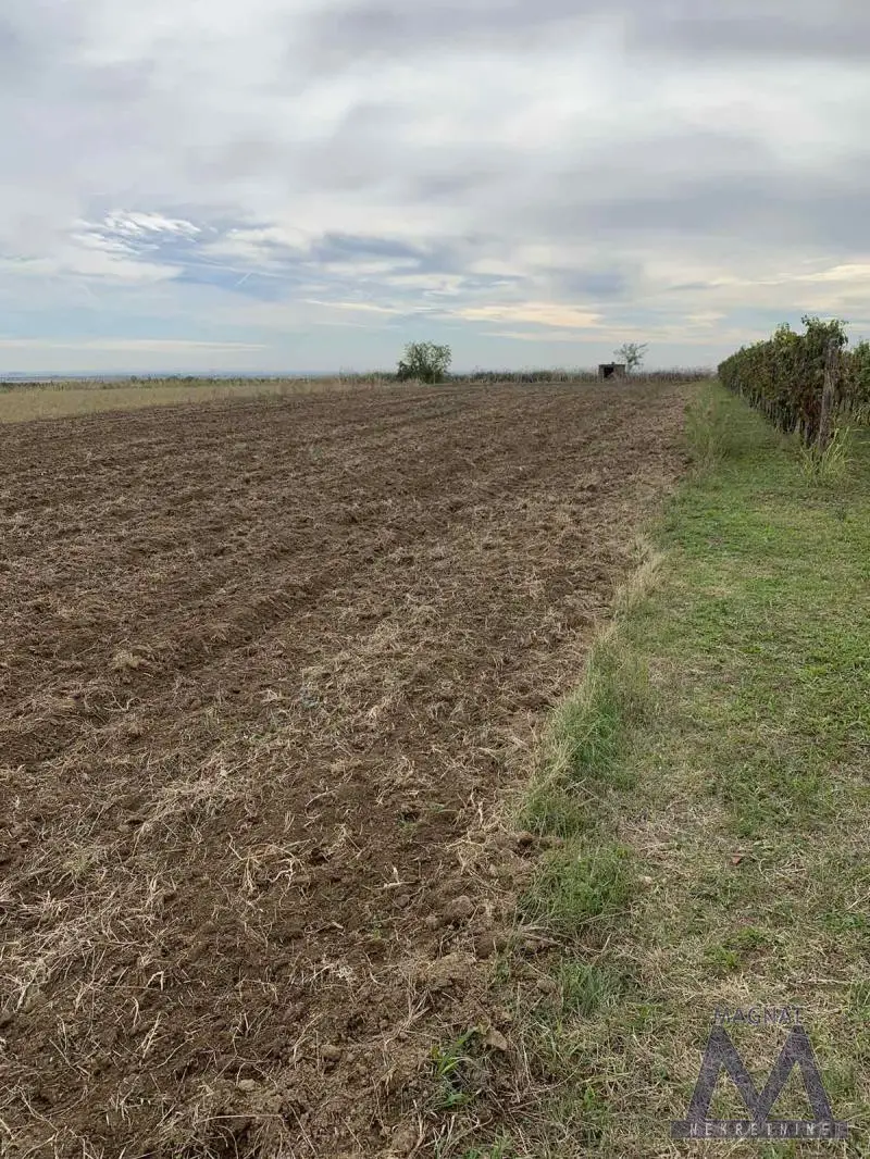 Čortanovci, Beli breg. Building plot of 1314m2, fully registered and completely flat. The plot is accessed by a gravel road, located near the main asphalt road. Electricity connection is nearby (next plot).

Contact for more?