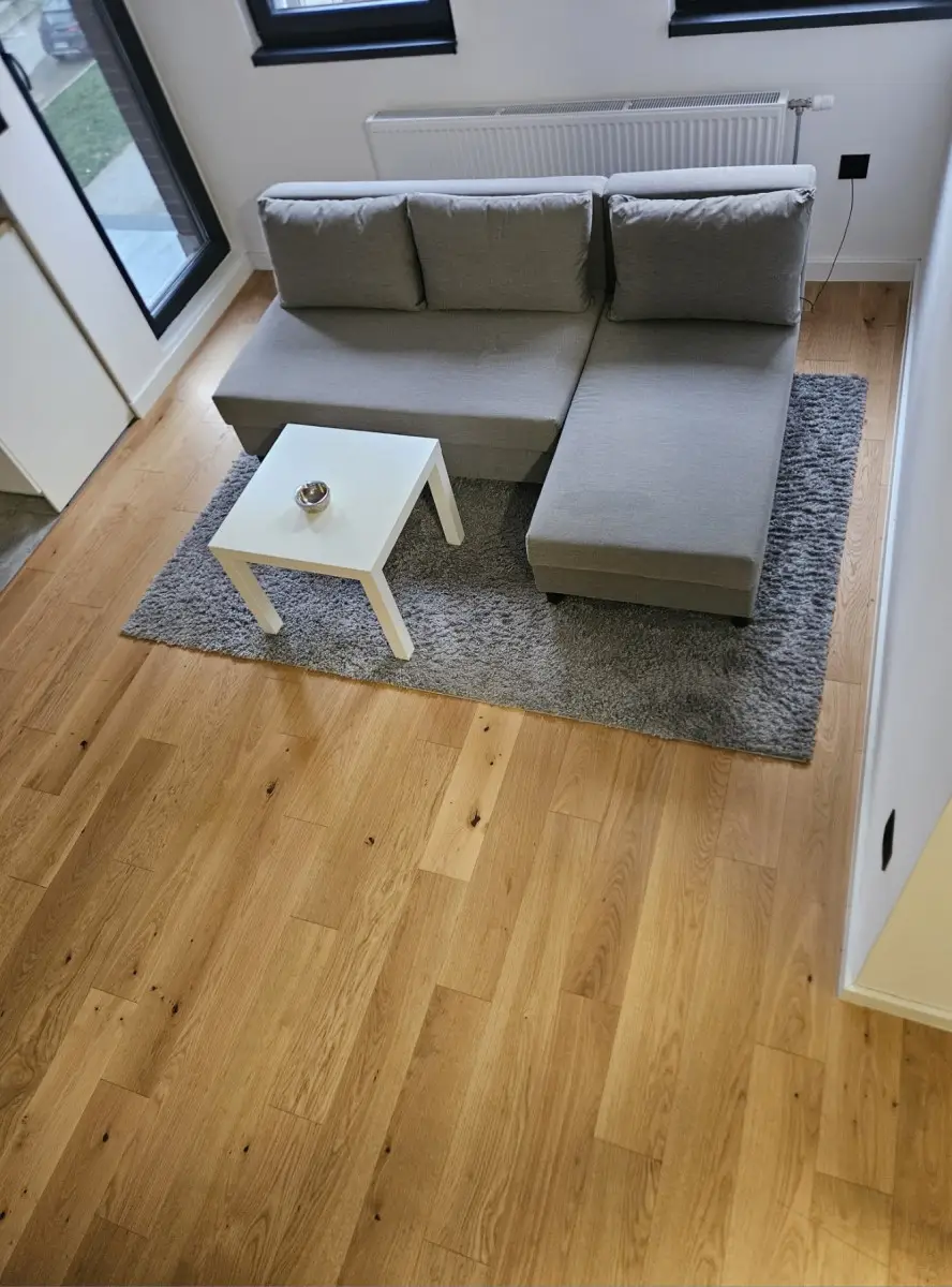 NOVI SAD. TELEP. ONE AND A HALF ROOM APARTMENT. FULLY FURNISHED (Svet nekretnine, Novi Sad, Reg. no. 405)