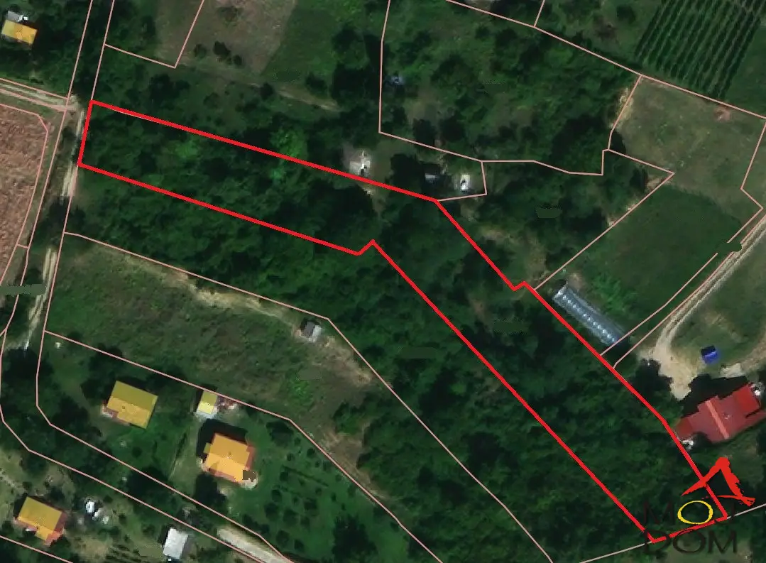 A plot for sale in an ideal location. It is 6 km from the center of Novi Sad. The road is partly asphalt and partly dirt. Passable in any season. The plot has city water and a well. Electricity is brought to the building but not connected.