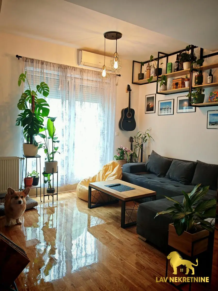 Apartment is 50m2. It has a terrace and storage on the terrace (4m2) which are not included in the price. The street is Đorđa Servickog. Completely e